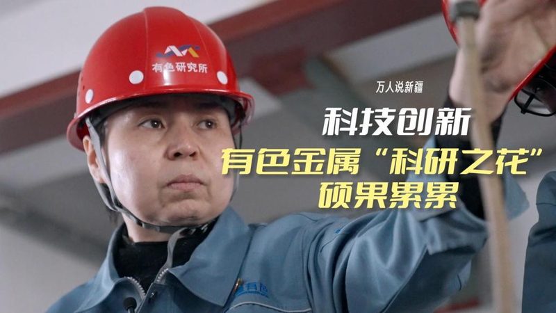 企业搜索多语言功能如何实现高效对比